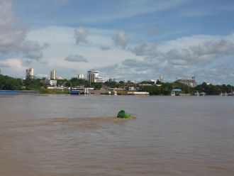 Особенность золотодобычи на Мадейре сост