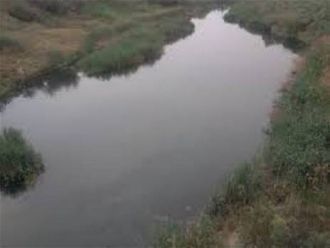 Ученым-ихтиологам было выделено 6 млн ре