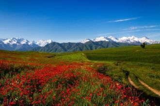 Горы Тянь-Шань имеют площадь оледенения 