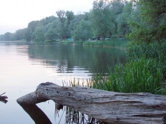 Помимо традиционной вырубки лесов и подх