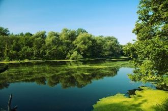 Слово «Донец» присутствует во многих наз
