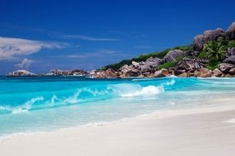 Основные пляжные соседи – крабы, пока ещ