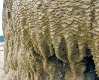 Йерве-эль-Агу,  внешне напоминающий заст