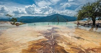 Необычная форма и цвет этого природного 