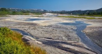 В водах озера обитают два десятка видов 