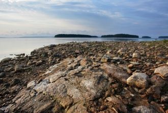 Впервые животный и растительный мир озер