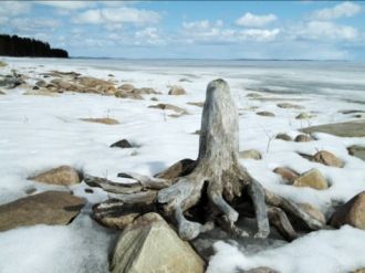 Вода имеет желтоватый оттенок, но при эт