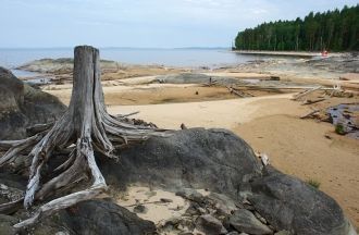 Уровень Сегозера лежит выше уровня моря 