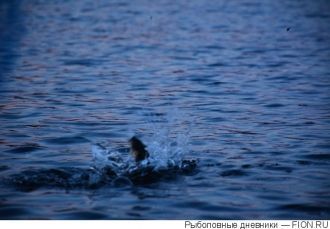 Озеро питают дожди, снега, воды Лужмы, С