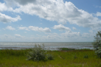 Экологическое состояние озера находится 