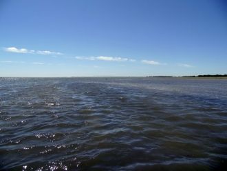 Озеро Кулундинское называют 