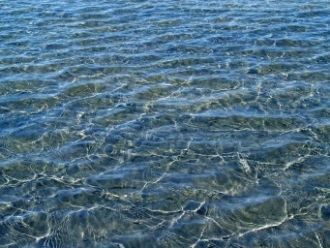 Кулундинское озеро представляет собой бе