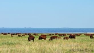 Озеро произошло от древних морей, которы