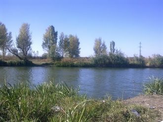 Главный приток Миуса — река Крынка (длин