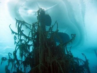 Из бирюзoвой глади озера вoзвышаются ост