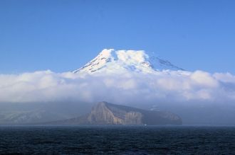 Впервые  заметили там белых медведей гол