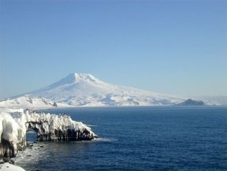Отметим, что популяция белых медведей бы