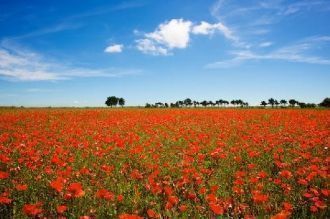 Сейчас Долина Антилоп является защищенно