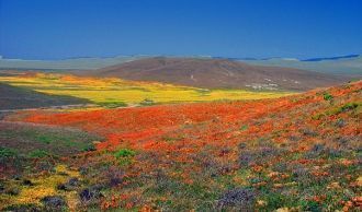 Долина Антилоп находится в калифорнийско