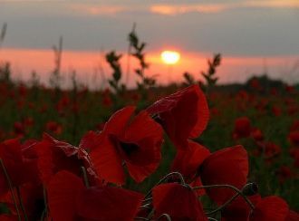 В долине Антилопы довольно сложно фотогр