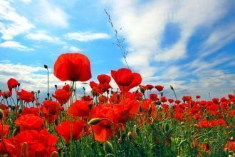 Долина Антилоп