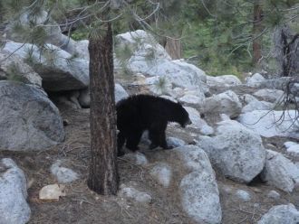 У подножья горы часто можно встретить ме