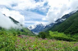 Площадь парка составляет 87,5 квадратных