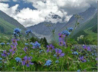 Уже более ста лет это место почитают аль