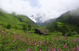 В долине приблизительно 500 видов цветов