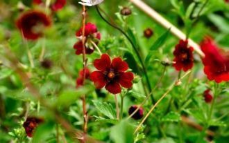 Сложно поверить в истину сказаний, ни ра