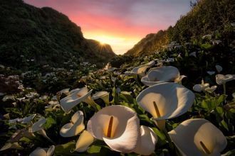 На фоне Тихого океана и заходящего за го