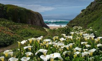 Для удобства путешественников здесь прол