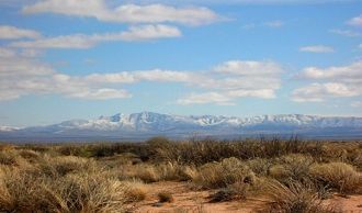 Также имеются несколько довольно высоких