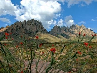 Фактически пустыня Чиуауа располагается 