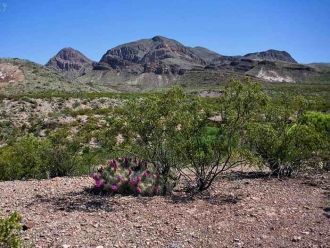 Политическая карта показывает, что эта п