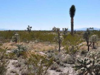 Со стороны Мексики территории заняты пят