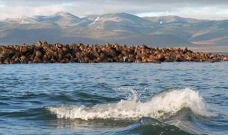 На протяжении нескольких столетий остров