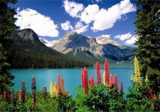 Однажды в 1882 году один из специалистов