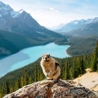 Озеро Пейто является одним из самых мале
