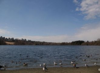 Длина береговой линии насчитывает около 