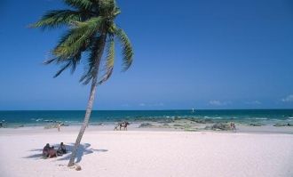 Неповторимую прелесть красоте природы пр