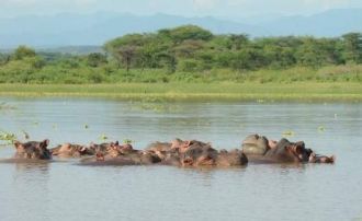 Самый крупный из них Южный остров был ис
