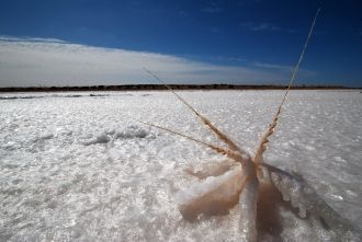 Озеро Торренс солевое озеро в Южной Авст