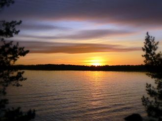 Возраст этого чуда природы примерно в  1