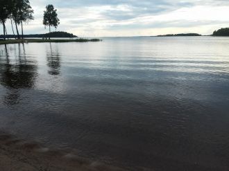 На озере Венерн большая популяция пернат