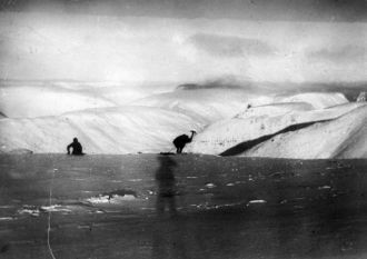 Песня-репортаж прозвучала на гибких стра