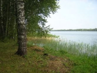 Озеро относится к слабопроточным.