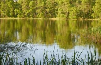 Не зря озеро так любимо лещом, щукой, ок