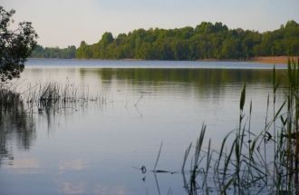 На юге впадает протока из оз.Тросно, сев