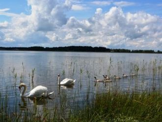 Мелководье обширное.